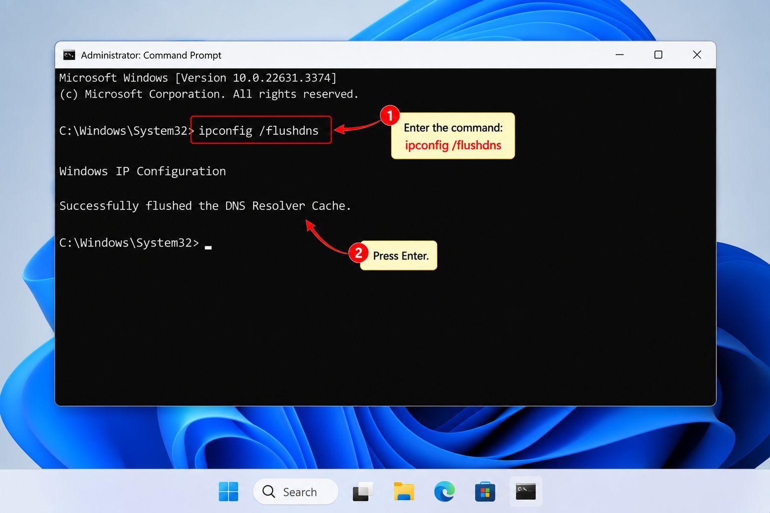 now-enter-the-command-ipconfig-flushdns-and-press-enter